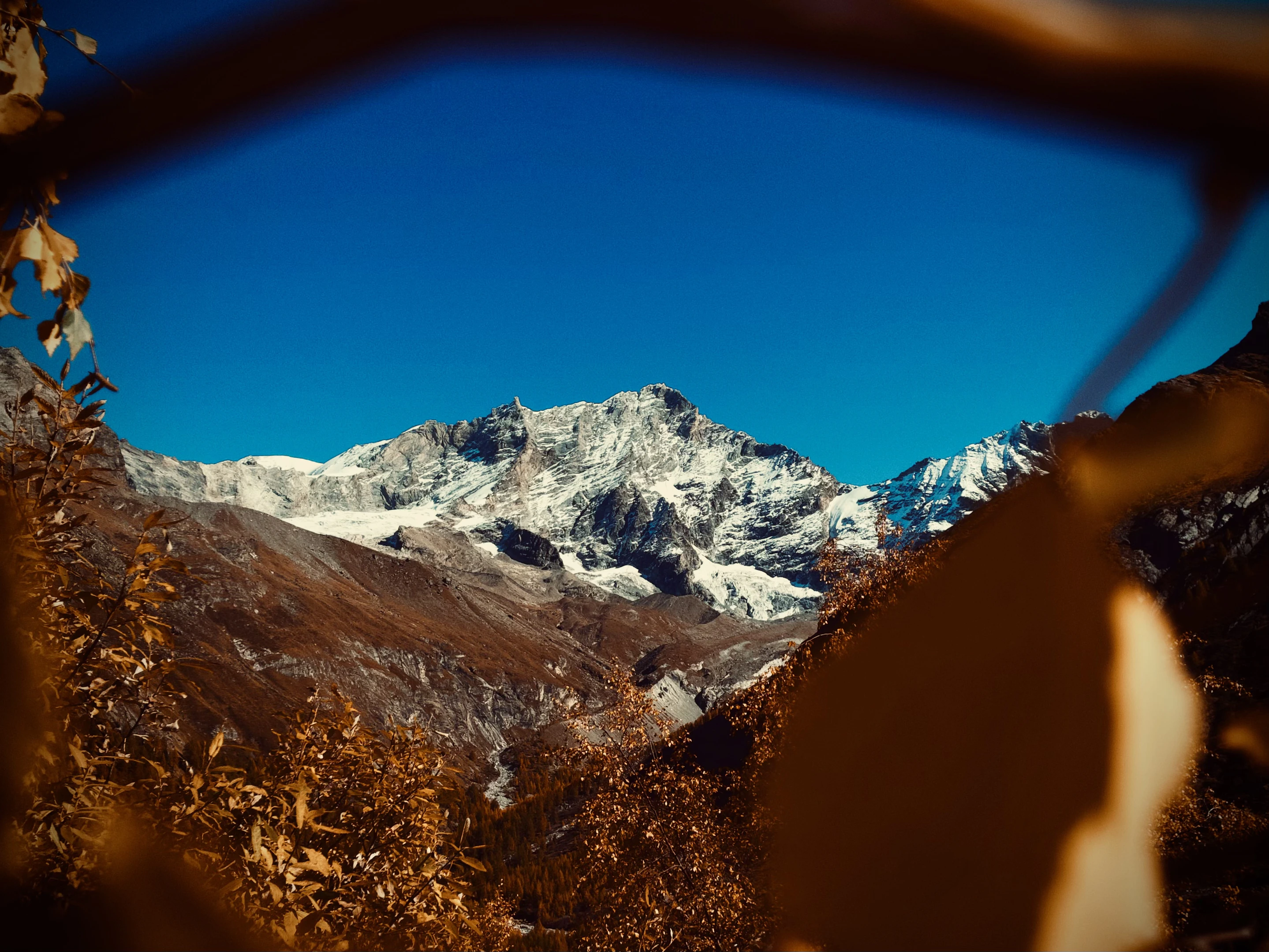 Mountain through Tree